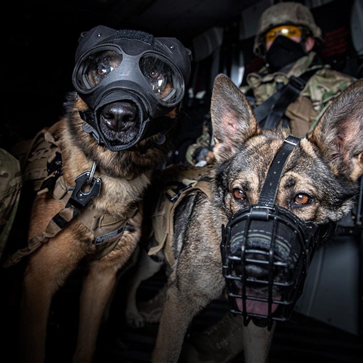 K9 Equipment