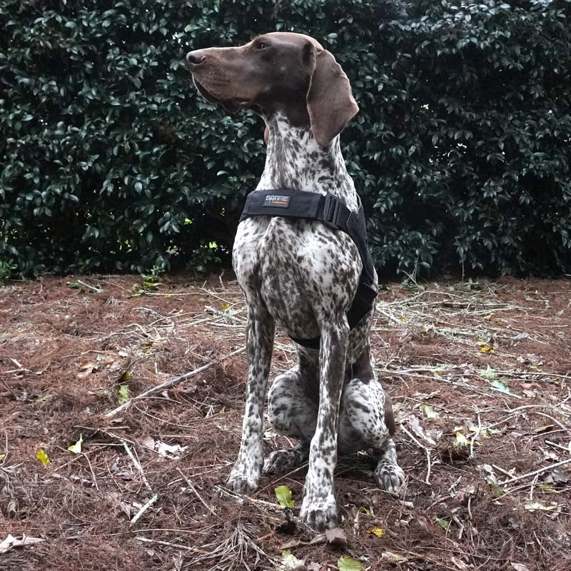 Detector Dog Harness - Lite