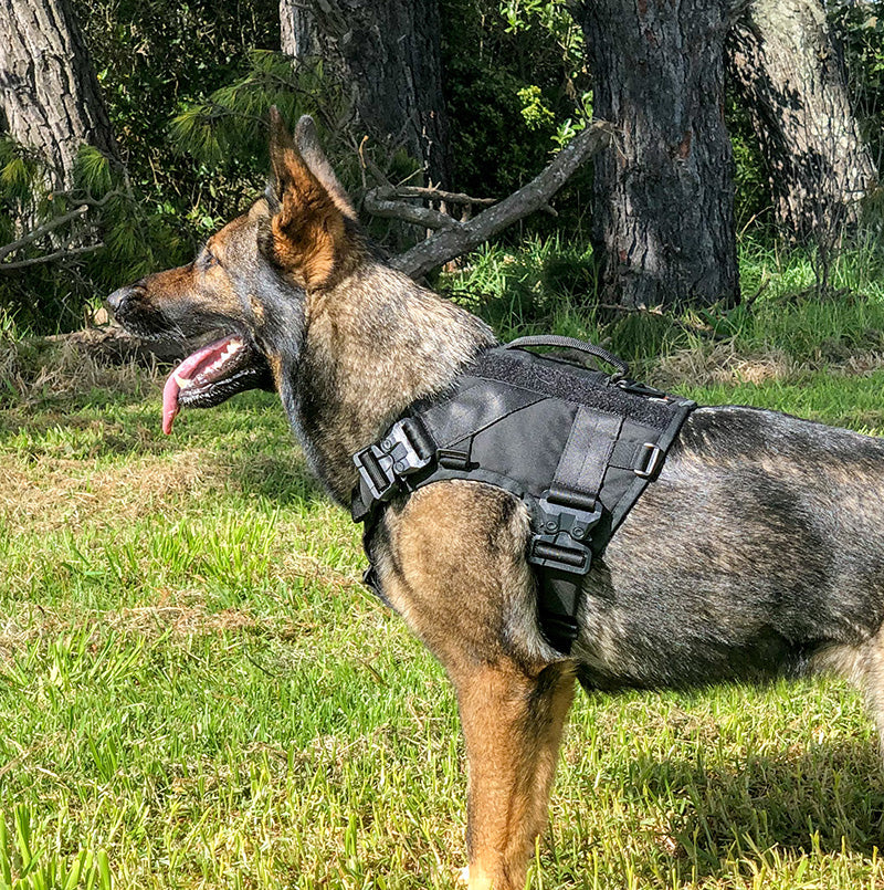 Expedition Harness V2