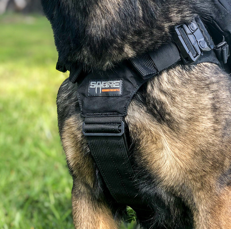 Expedition Harness V2