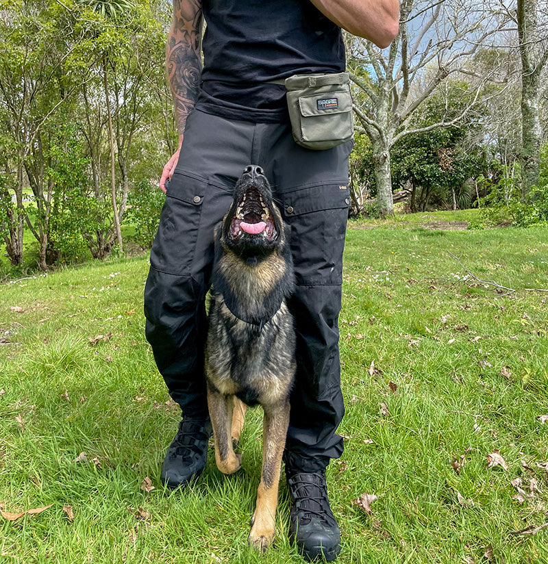 K9 Food Reward Pouch