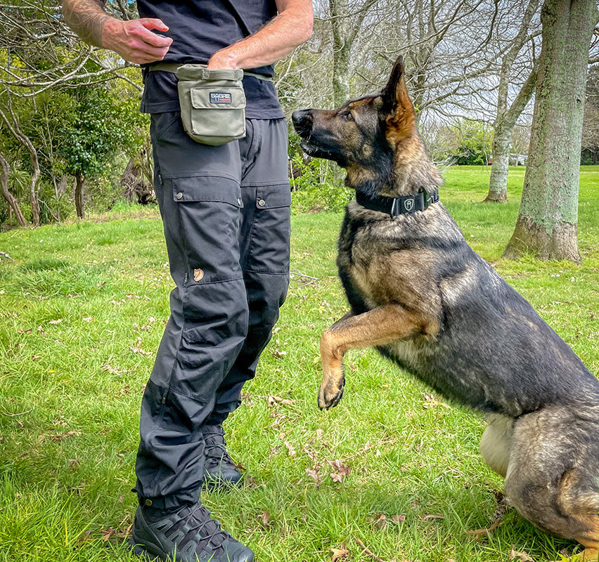 K9 Food Reward Pouch