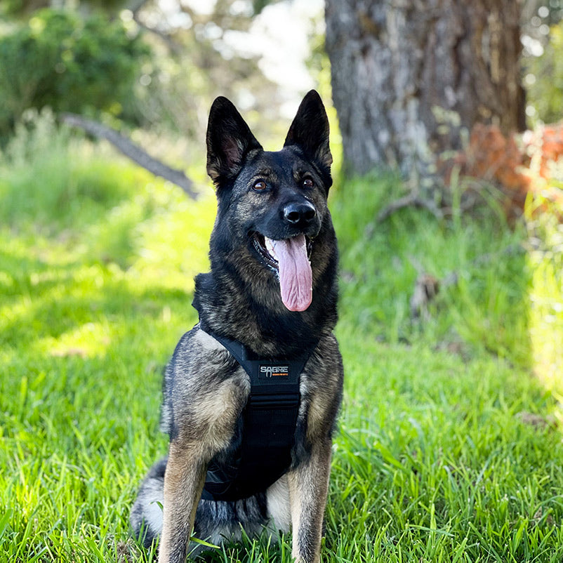MAKO K9 Harness