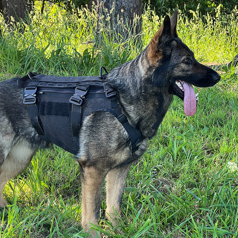 MAKO K9 Harness