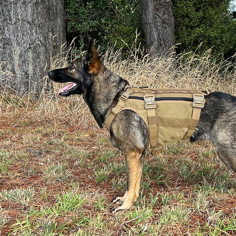 Sabre K9 Harness
