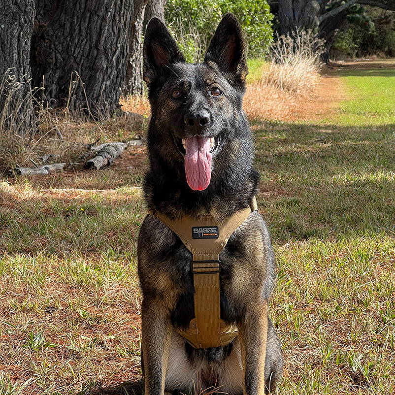Sabre K9 Harness