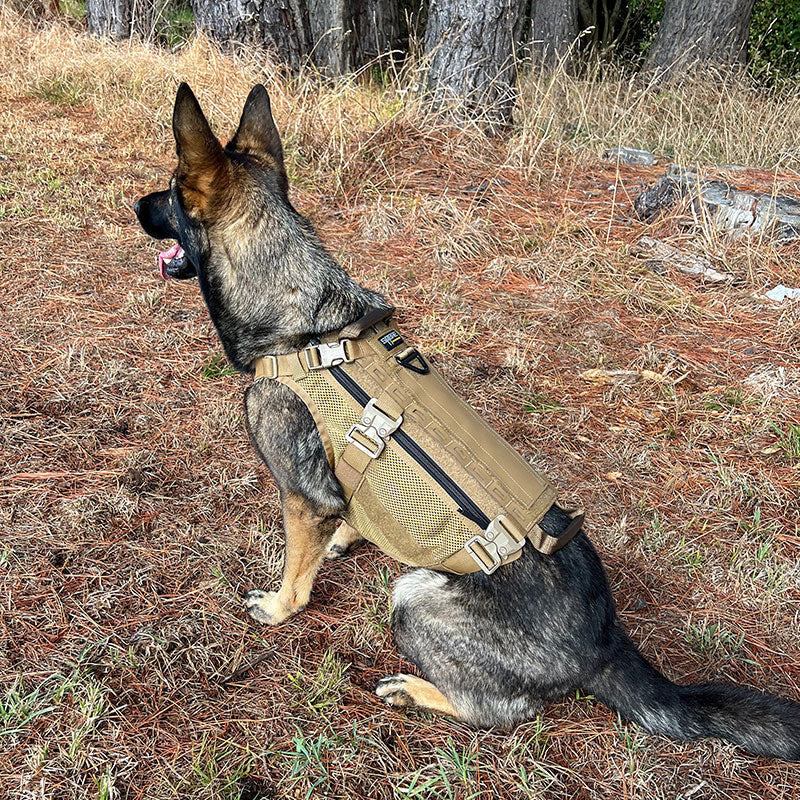 Sabre K9 Harness
