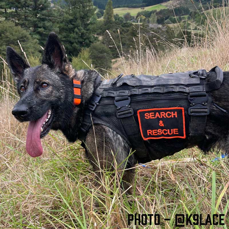 Tactical K9 Harness