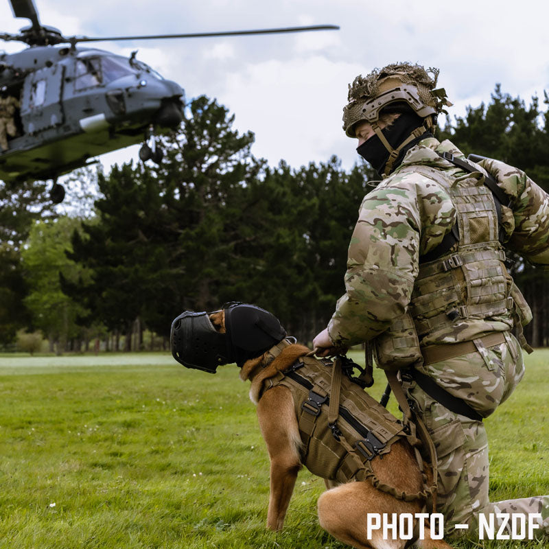 K9 Equipment - Harnesses