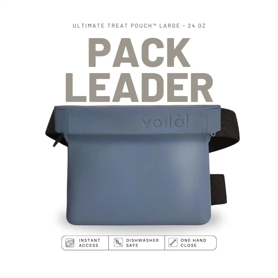 Voilà K9 Large Ultimate Treat Pouch™