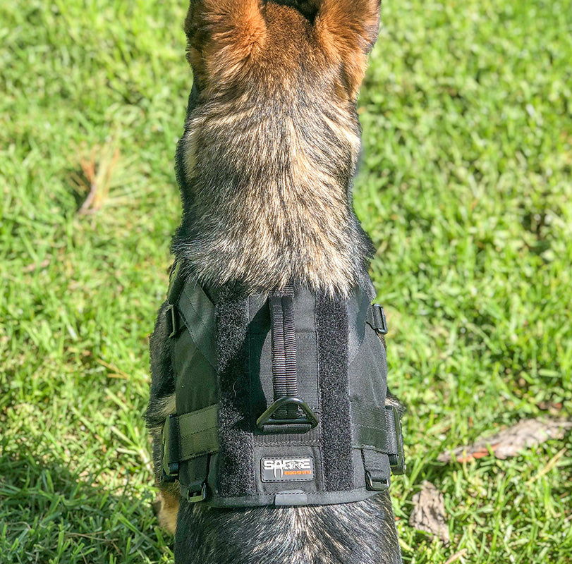 Expedition Harness V2